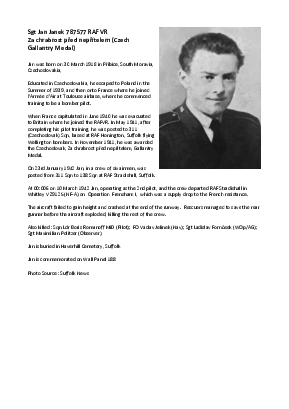 A preview of a PDF biography for Janek, Jan